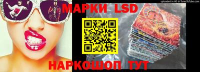 шишки Можга