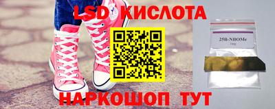 шишки Можга