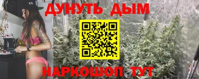 шишки Можга