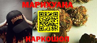 шишки Можга