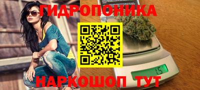 шишки Можга