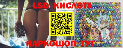 шишки Можга