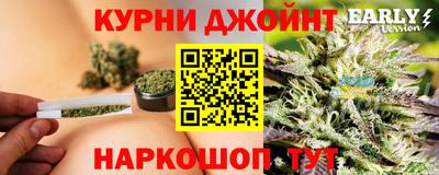 шишки Можга
