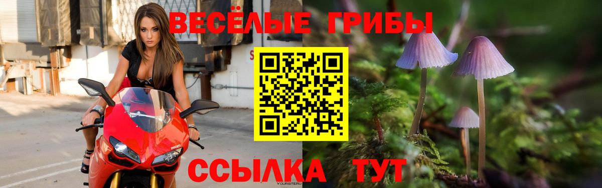 Ступино  Галлюциногенные грибы MAGIC MUSHROOMS  Вход с VPN 